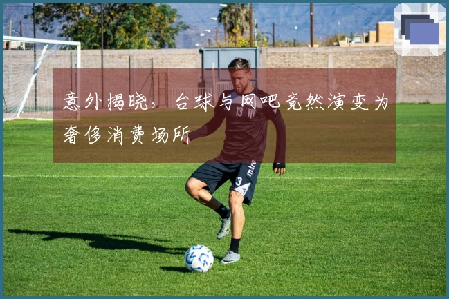 意外揭晓，台球与网吧竟然演变为奢侈消费场所