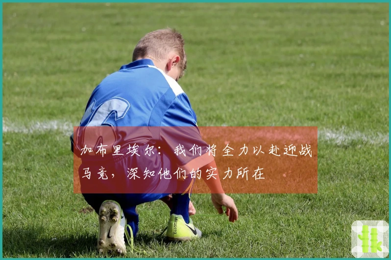 加布里埃尔：我们将全力以赴迎战马竞，深知他们的实力所在